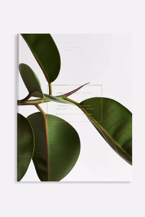 Книга зеленый дом