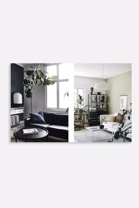 Книга зеленый дом