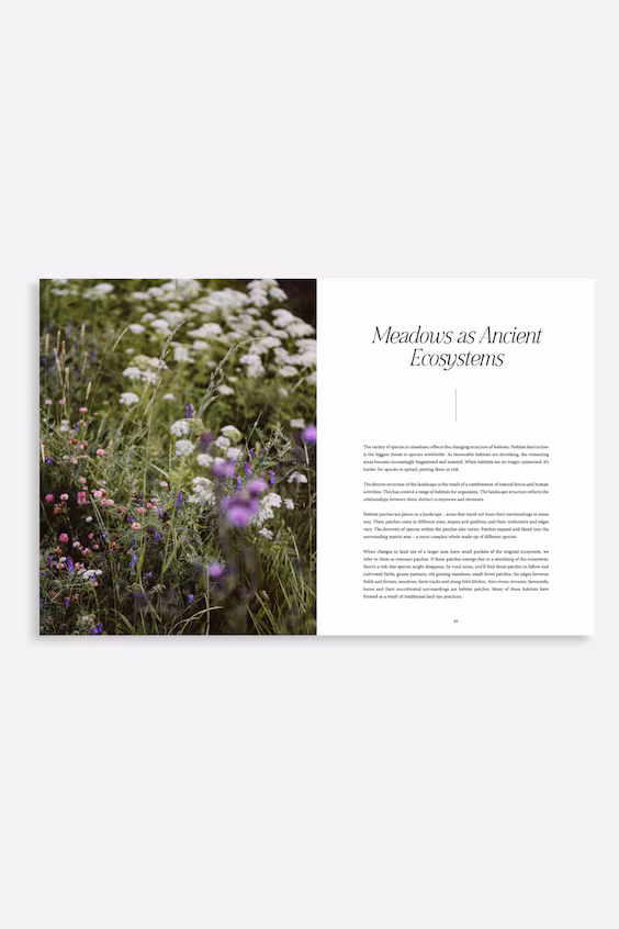 Где расцветают цветы