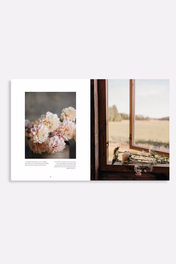 Где расцветают цветы