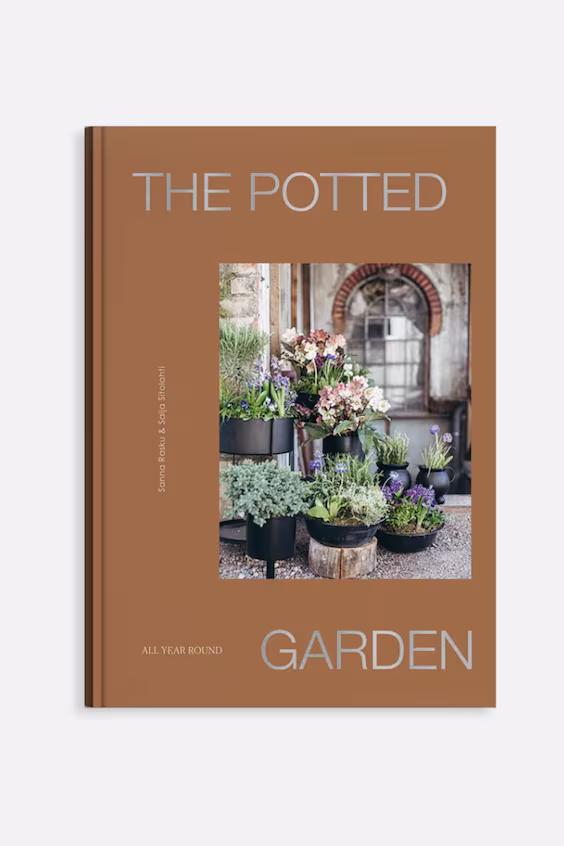 Цветочный сад в горшках круглый год