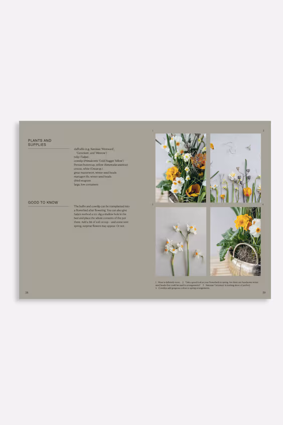 Цветочный сад в горшках круглый год