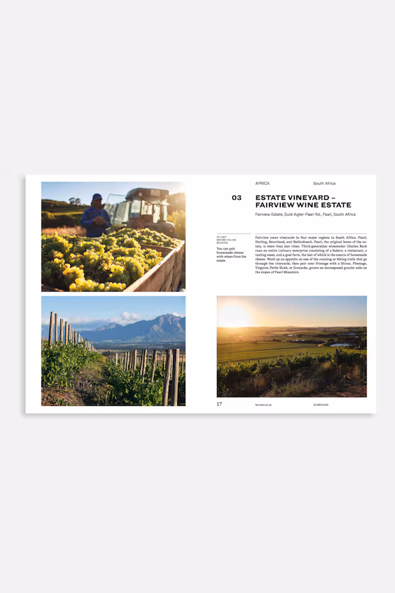 150 виноделен