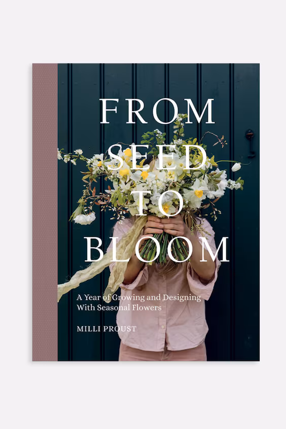 Ваза from seed to bloom