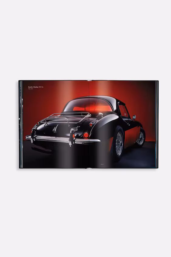 Черные красавицы