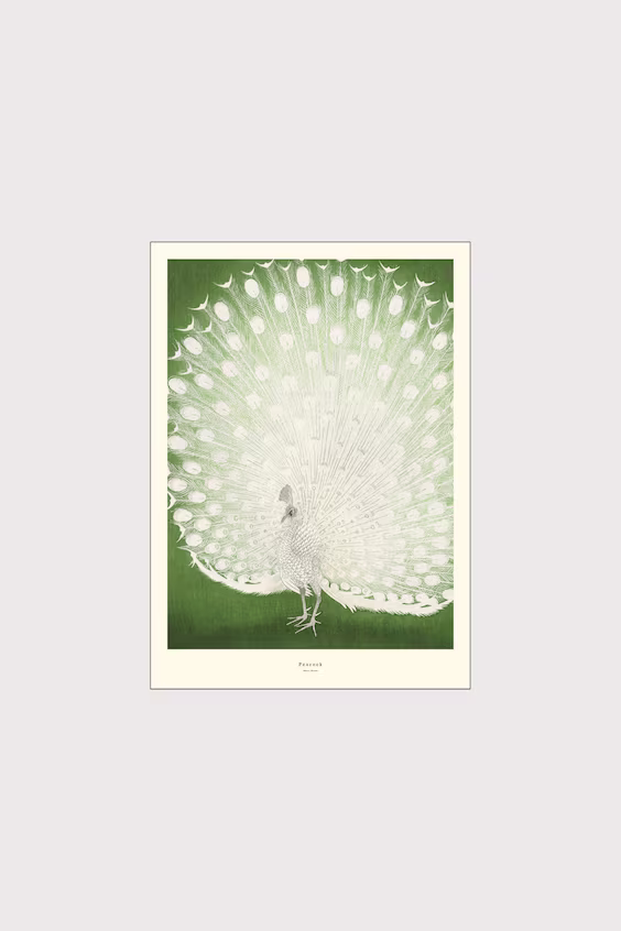 A.p. atelier - павлин