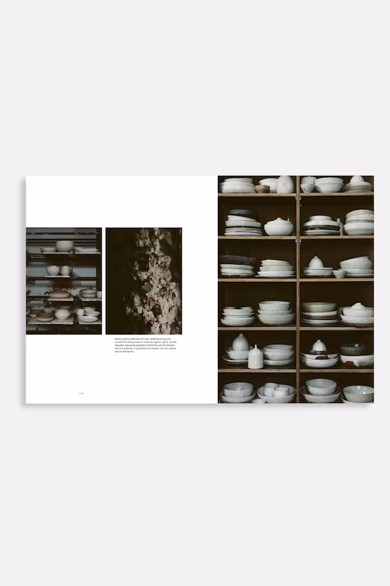 Книга о керамике clay