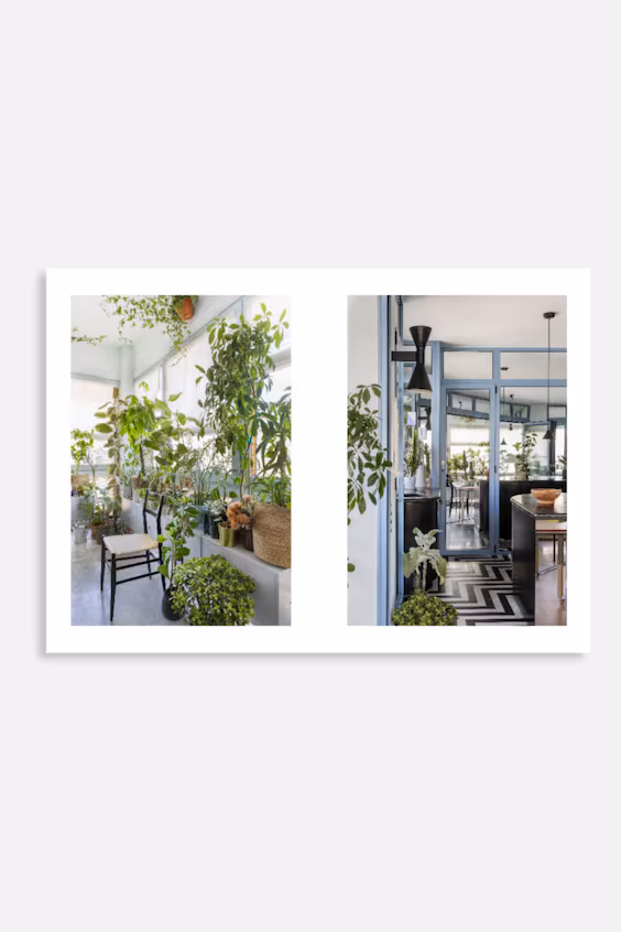 Интерьеры, оформленные природой