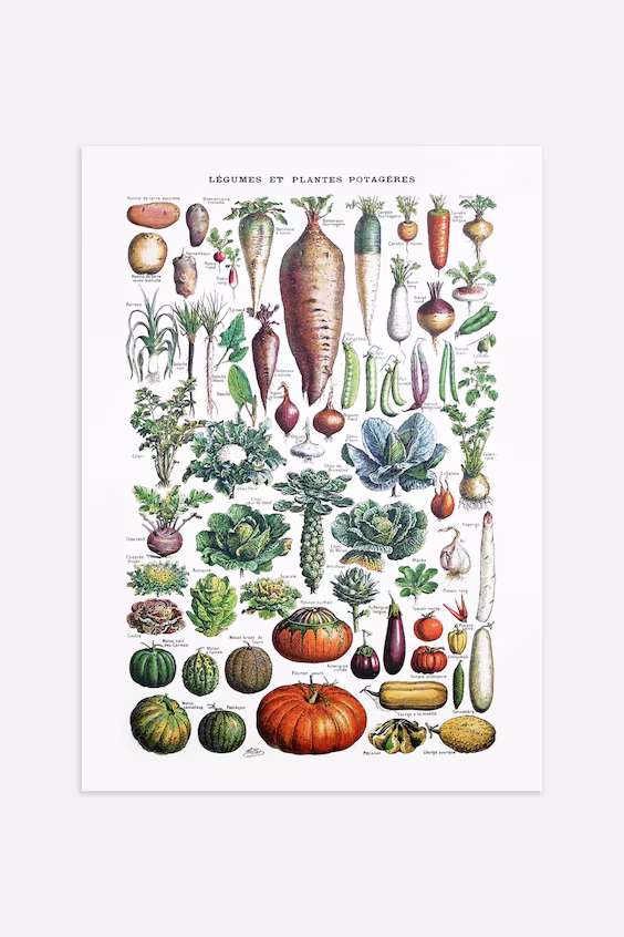 Оверлэйт с овощами из сада