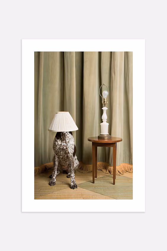 Плакат hide and seek