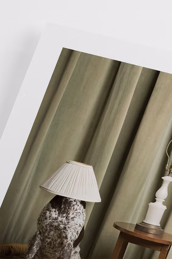 Плакат hide and seek