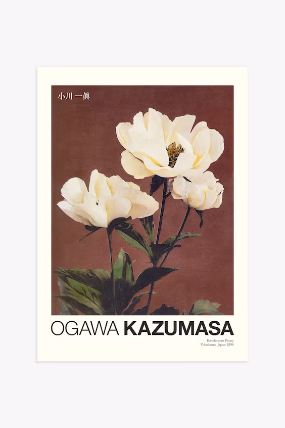 Плакат peony by kazumasa