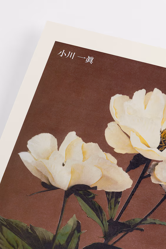 Плакат peony by kazumasa