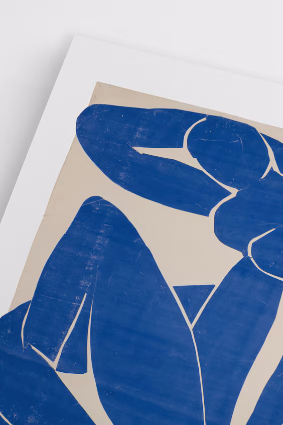 Плакат nu bleu ii