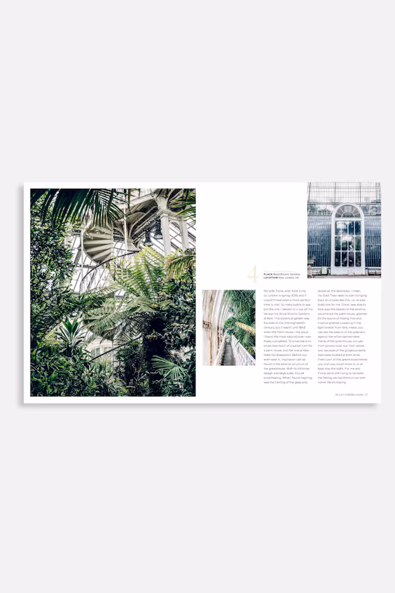 Дикие интерьеры