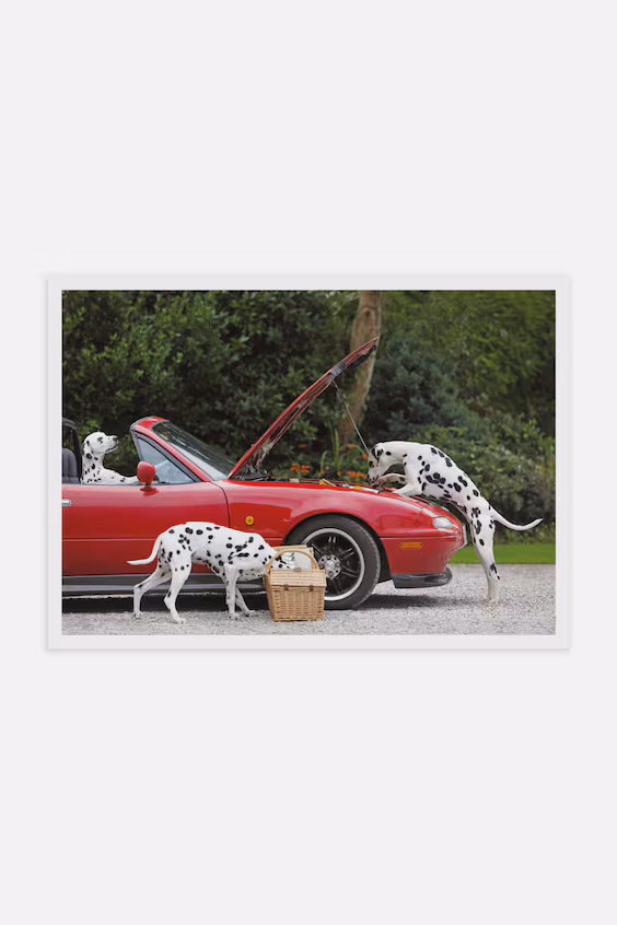Постер три далматинца