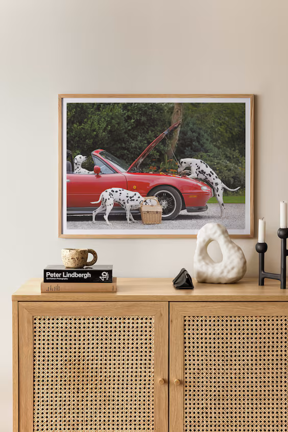 Плакат три далматина