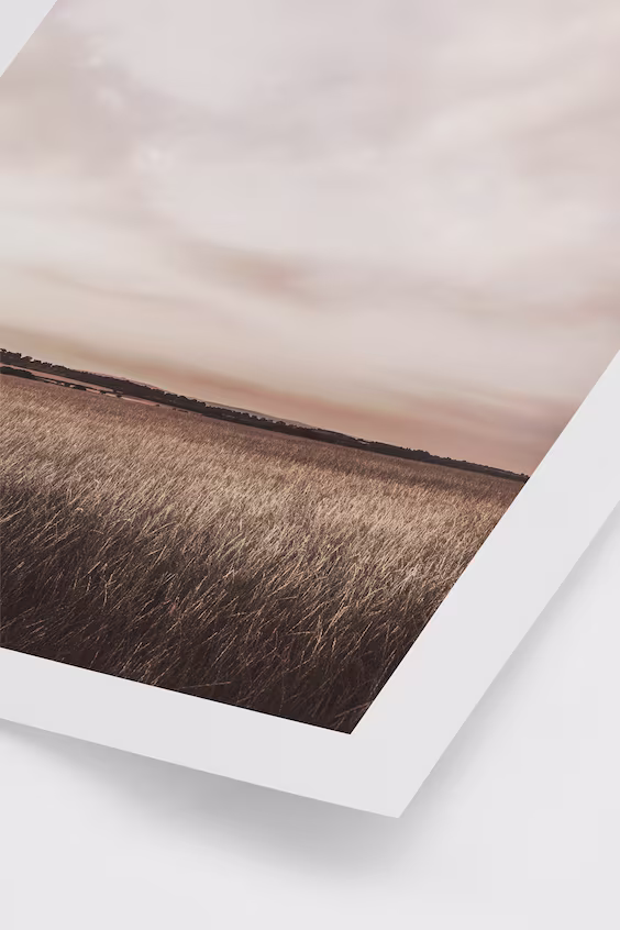 Постер sunset meadow