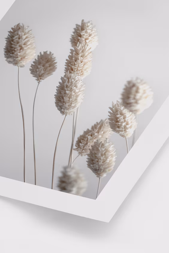 Постер dried grass