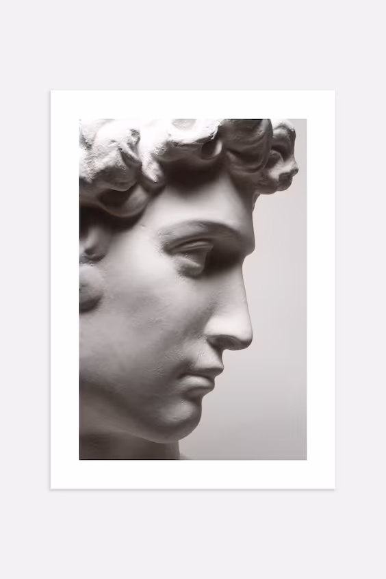 Постер david bust