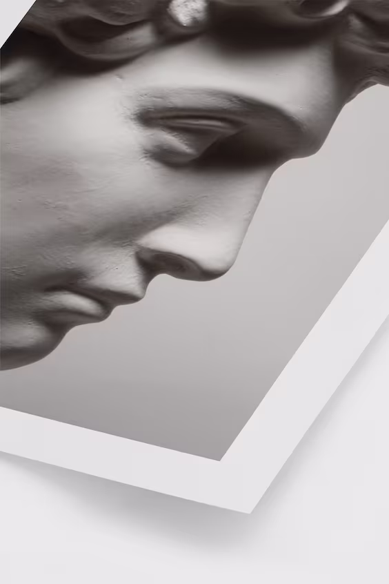 Постер david bust