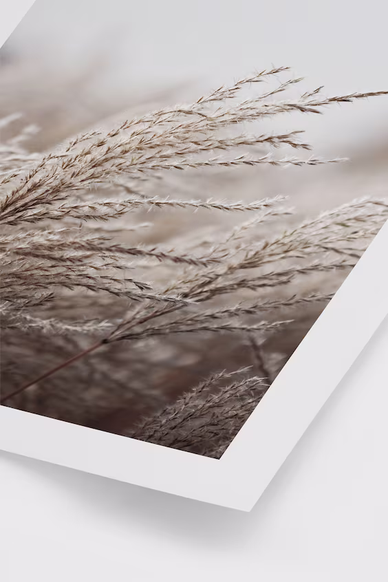 Постер grasses in the wind