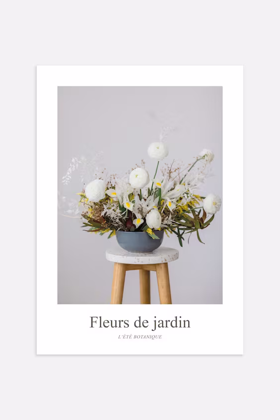 Плакат renoncules blanches