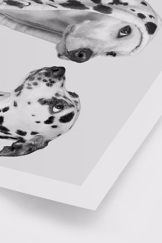 Плакат dotty dogs