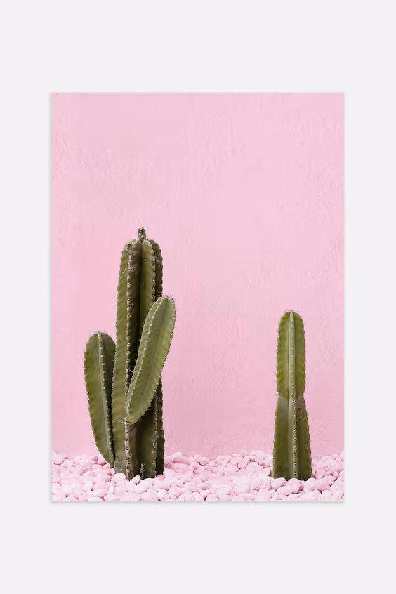 Постер зеленый кактус