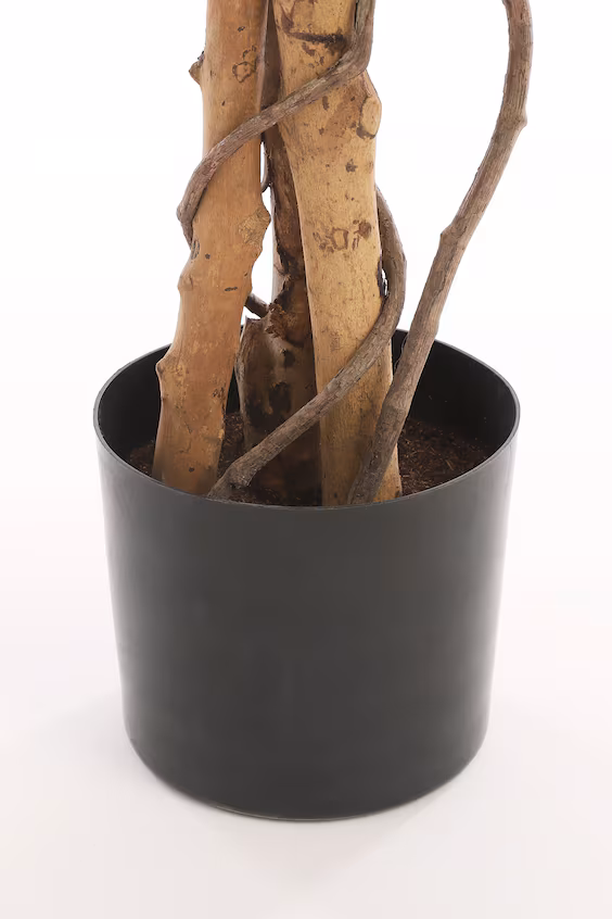 Искусственный ficus