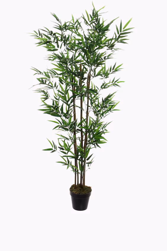 Искусственный bambu