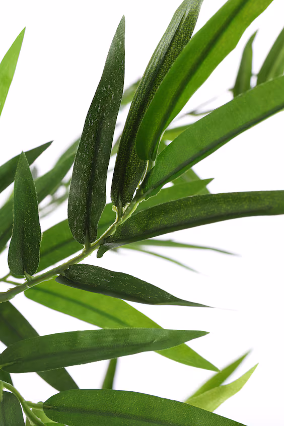 Искусственный bambu