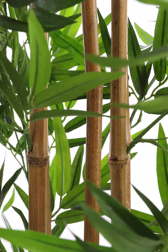 Искусственный bambu