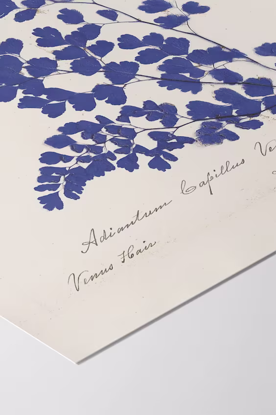 Постер wild apple- botanical fern iii blue