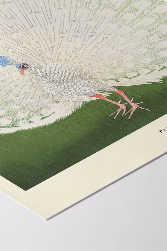 A.p. atelier - павлин