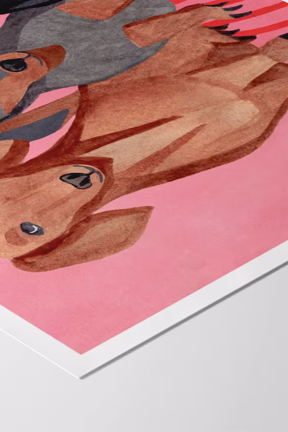 Iga illustrations - такса