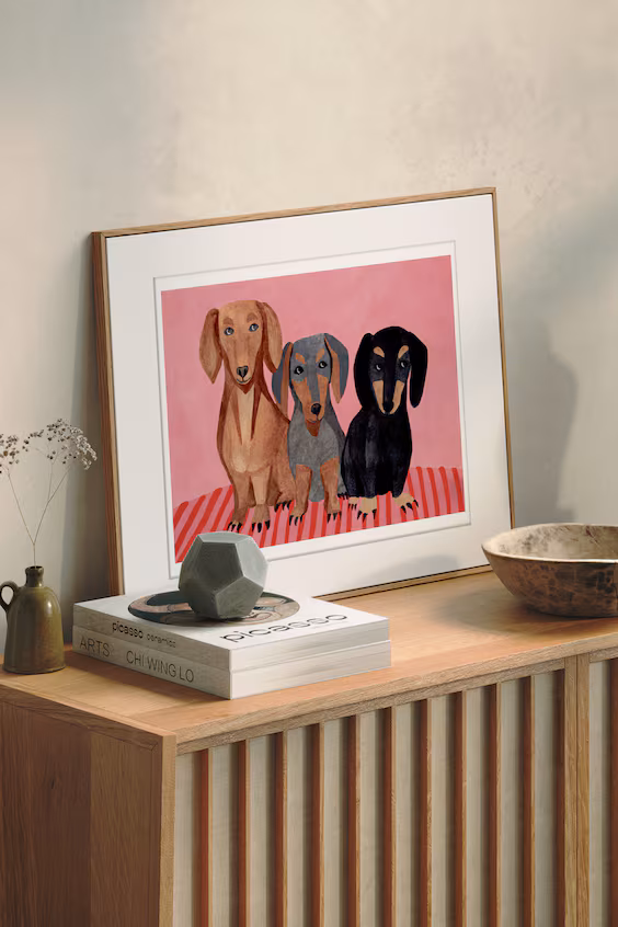 Iga kosicka - такса (в раме)