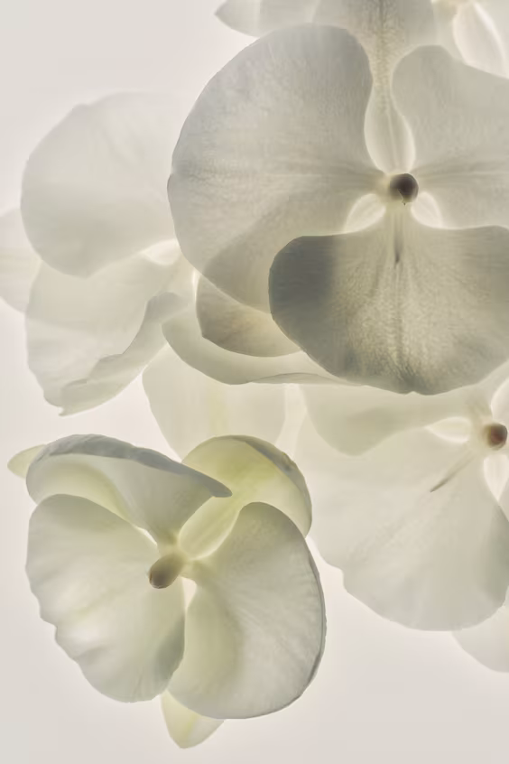 Креативный аромат creative visionary edt