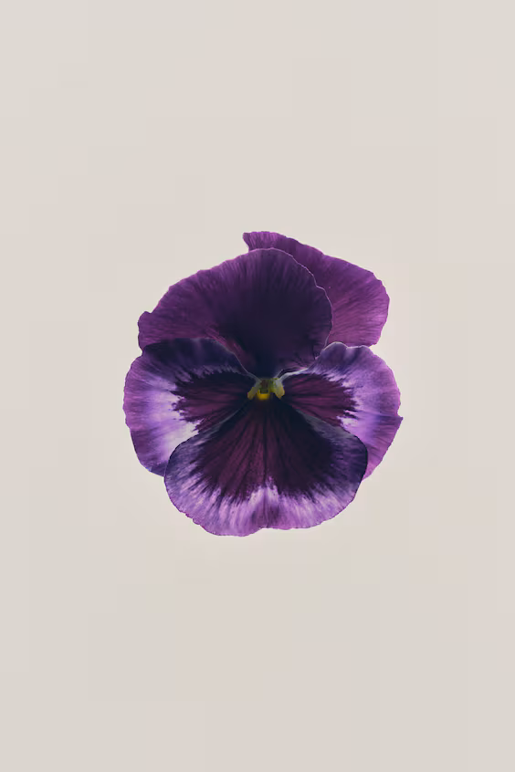 Креативный аромат creative visionary edt