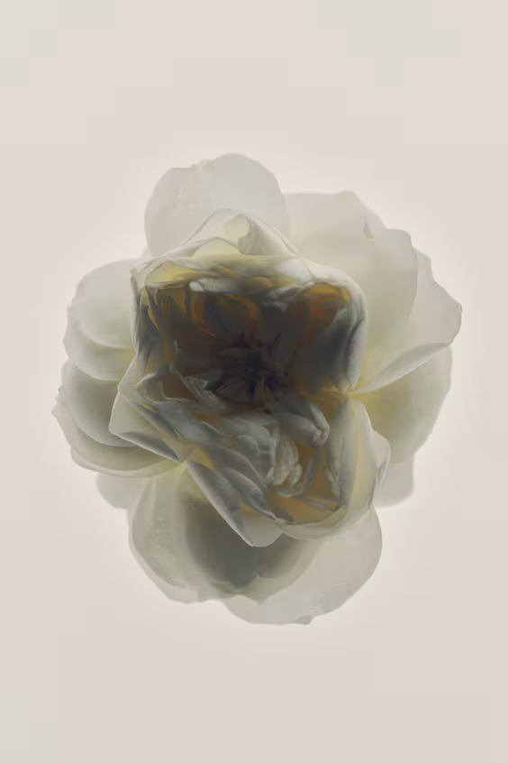 Туалетная вода