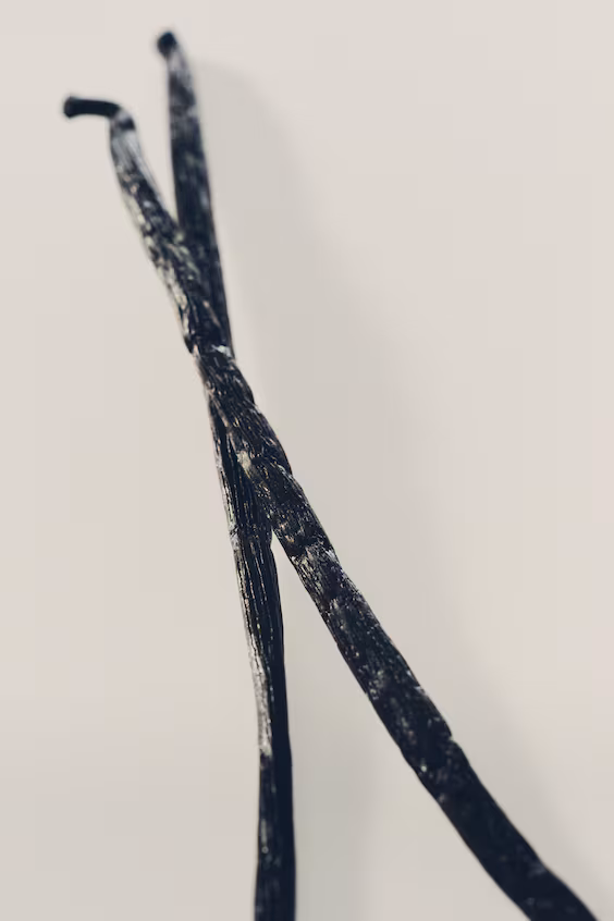 Туалетная вода social butterfly edt