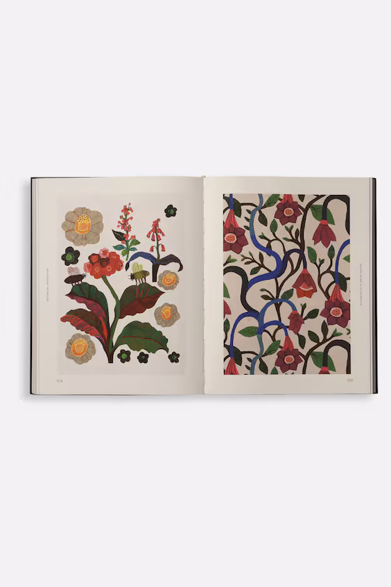 Ботаническая иллюстрация