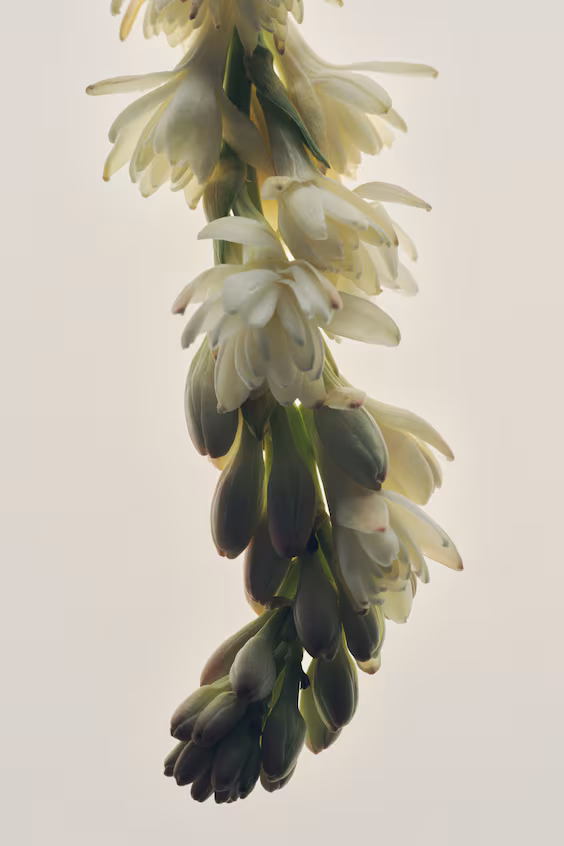 Туалетная вода hopeful romantic